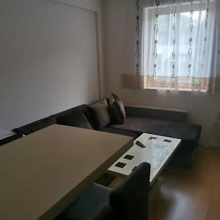 Nedeljkovic Kopaonik *