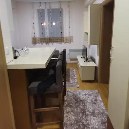 Nedeljkovic Kopaonik