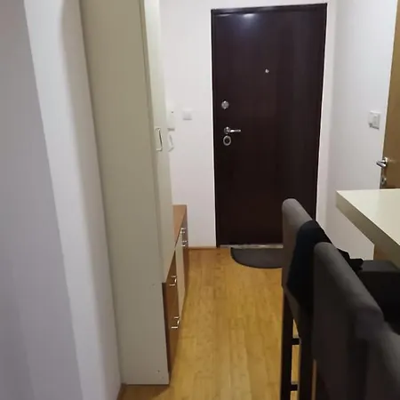 Nedeljkovic Kopaonik Brzeće