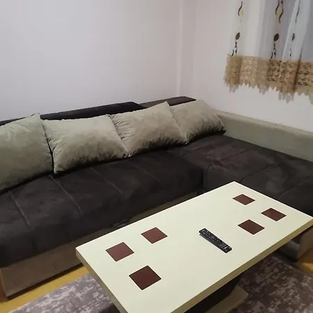 Nedeljkovic Kopaonik *