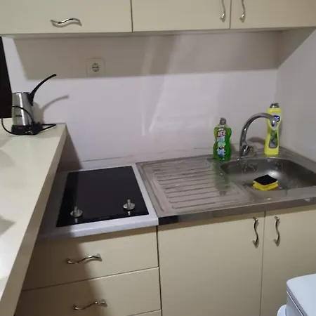 Nedeljkovic Kopaonik Apartament *