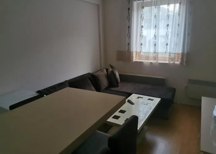 Nedeljkovic Kopaonik *