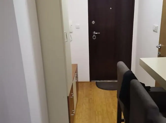 Nedeljkovic Kopaonik Brzeće