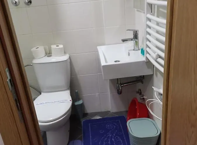 Nedeljkovic Kopaonik *