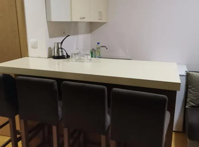 Nedeljkovic Kopaonik Brzeće