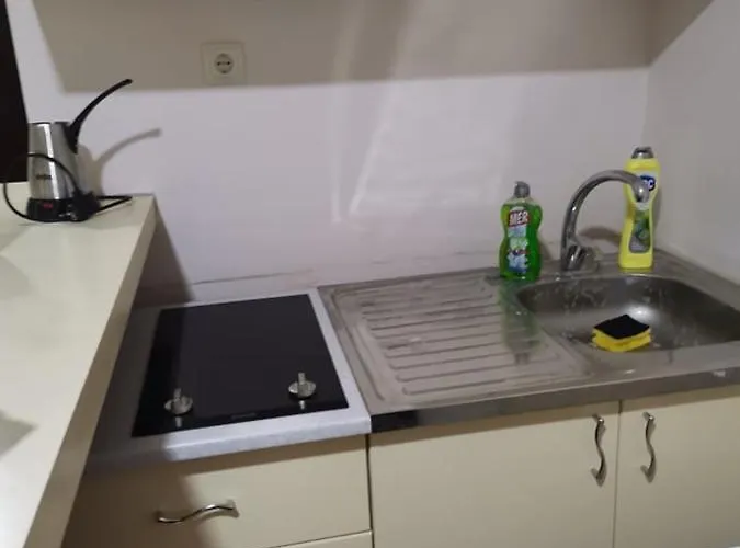 Nedeljkovic Kopaonik Apartman *